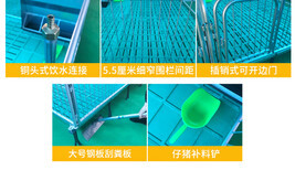 云浮豬場現(xiàn)代化養(yǎng)殖 從塑料地板到實(shí)木地板的保育欄革新